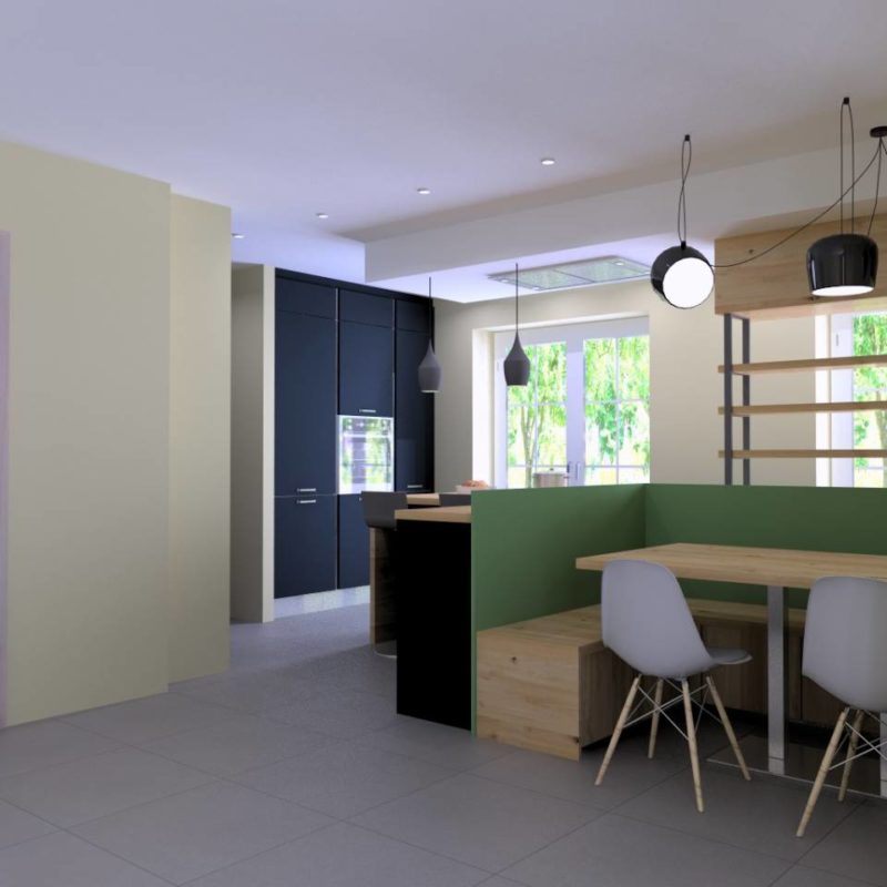 AVANTS PROJETS VUES 3D H&oelig;nheim 1